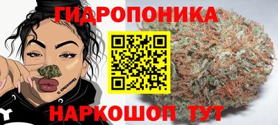 PSILOCYBIN Дубна